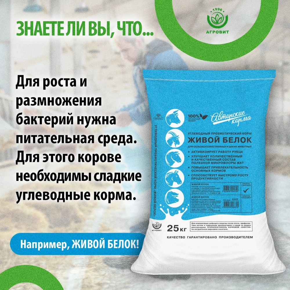Факты-о-коровах-7 (2)