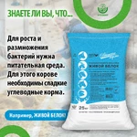 Факты-о-коровах-7 (2)