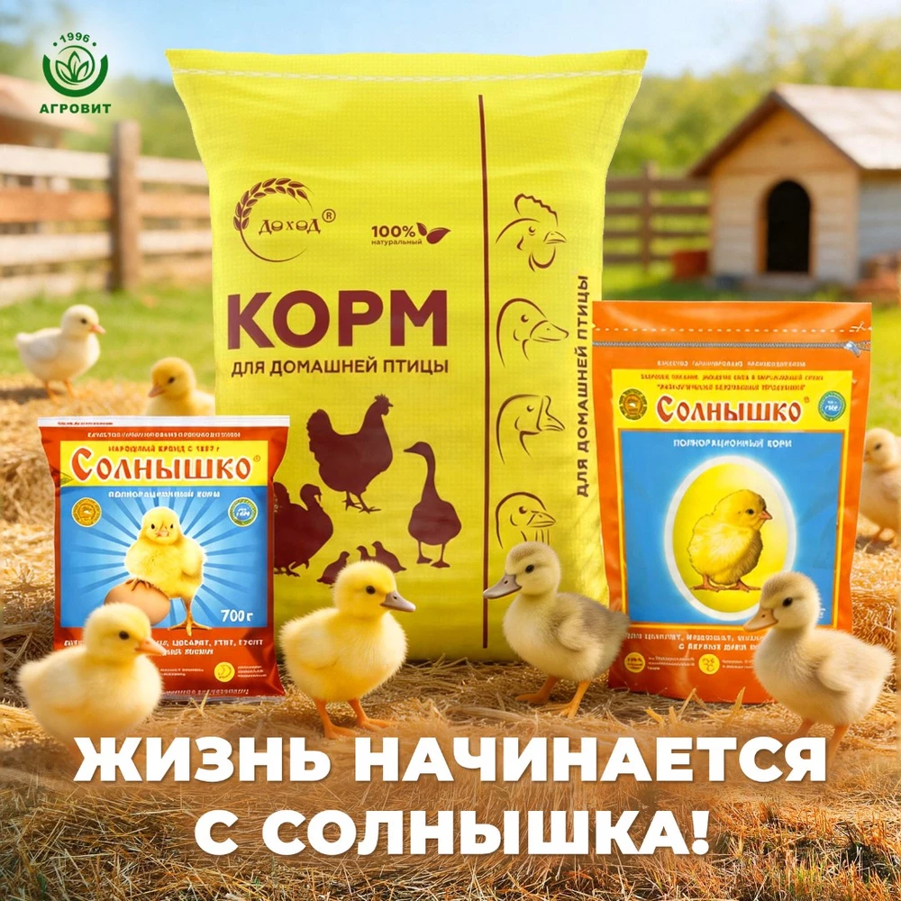 Солнышко-корм1