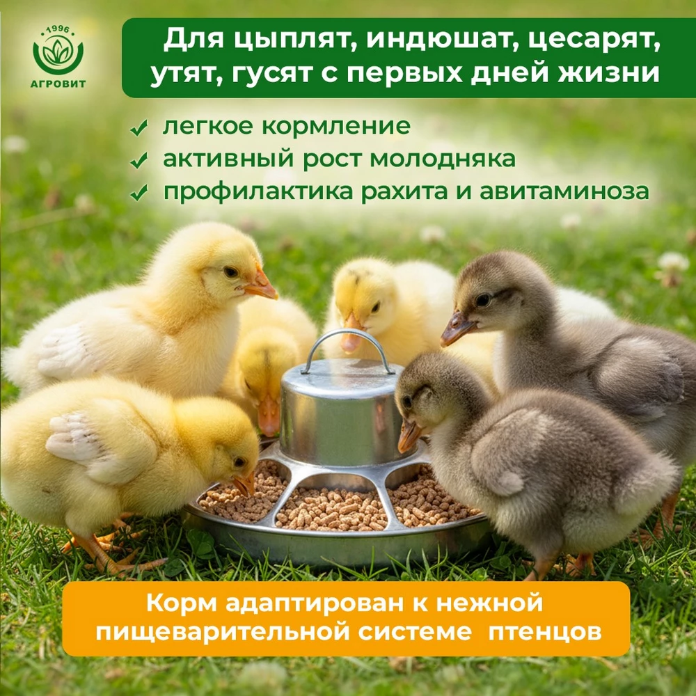 Солнышко-корм3