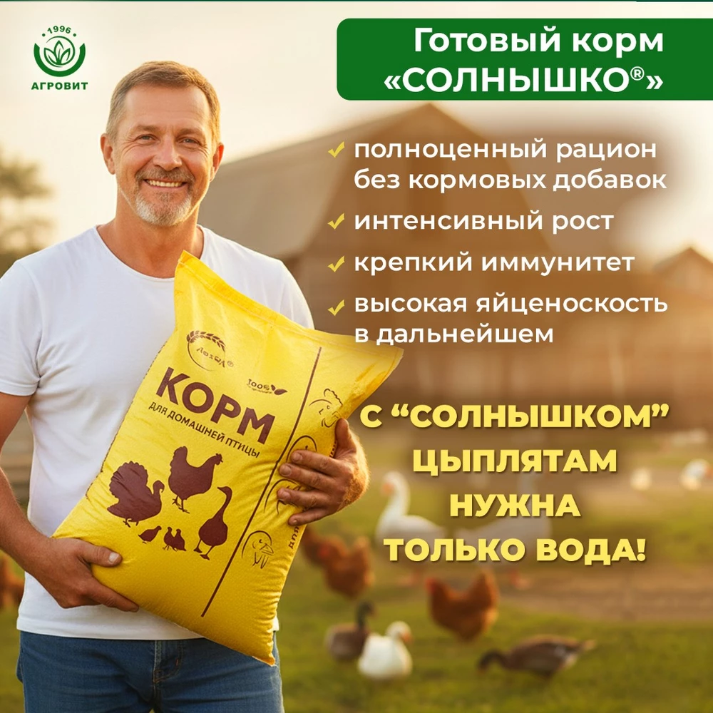 Солнышко-корм5