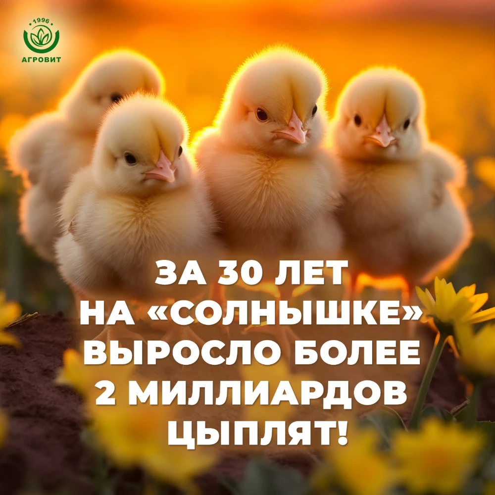 Солнышко-корм6