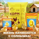 Солнышко-корм1
