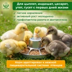 Солнышко-корм3