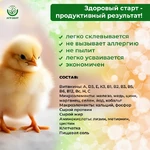 Солнышко-корм4