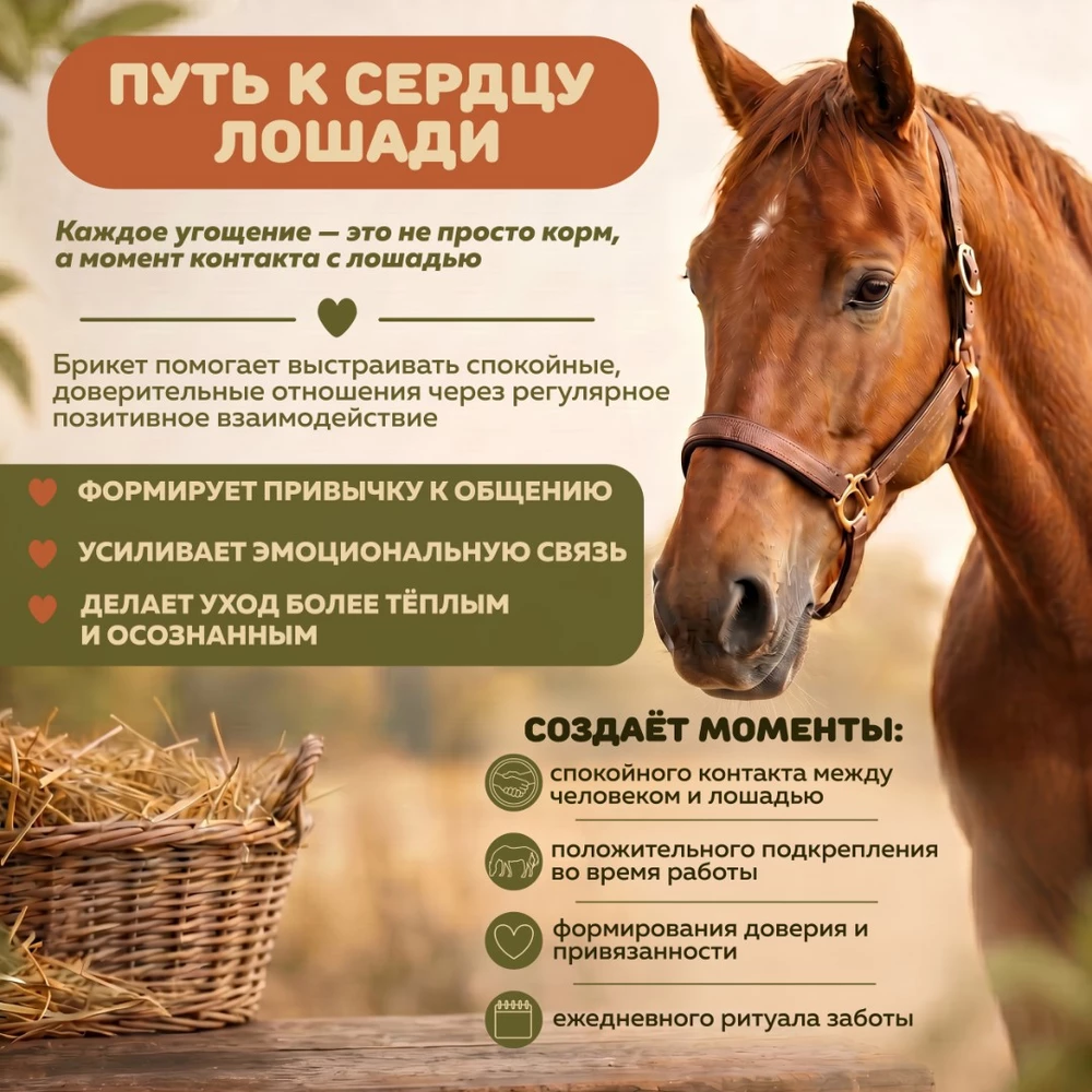брикет для лошадей 2