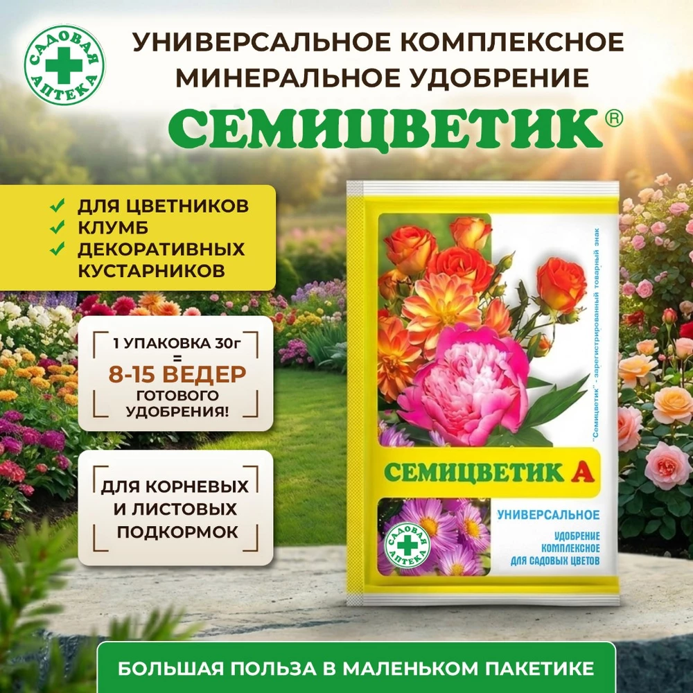 Семицветик-для-клумб_1