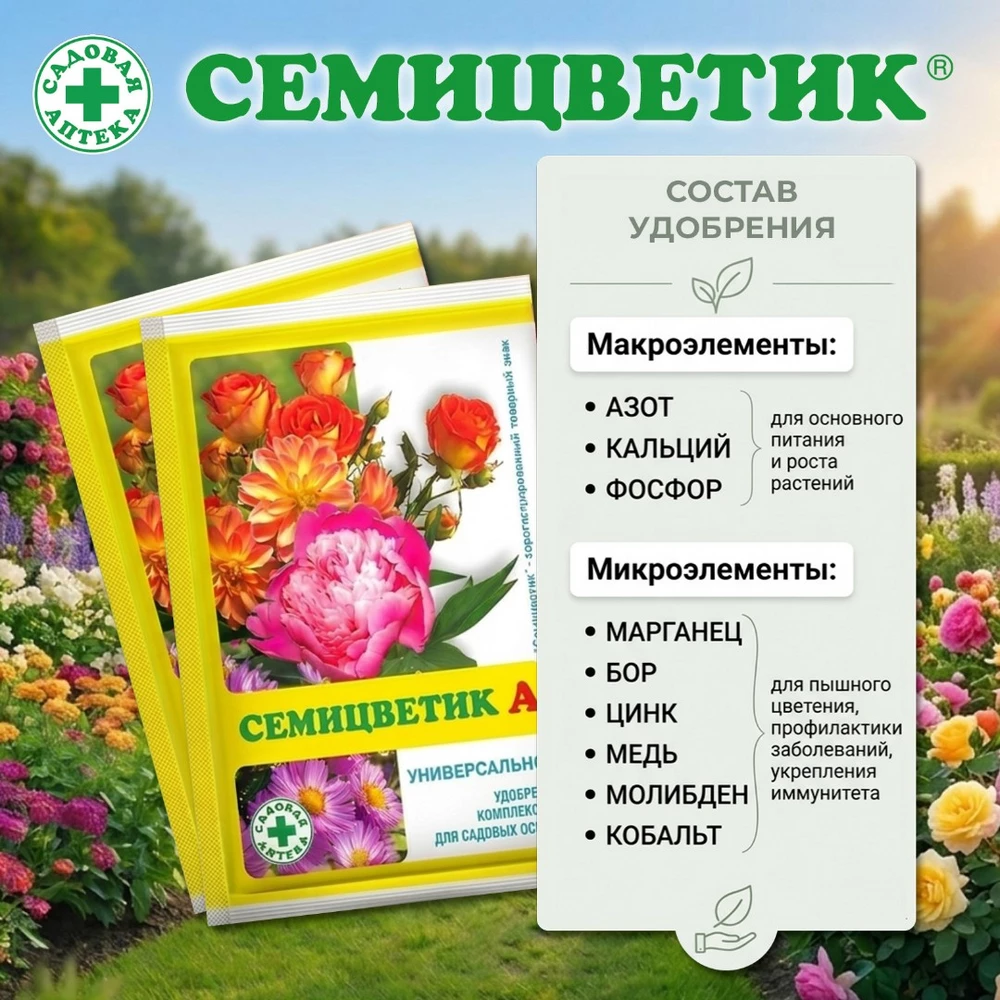 Семицветик-для-клумб_2