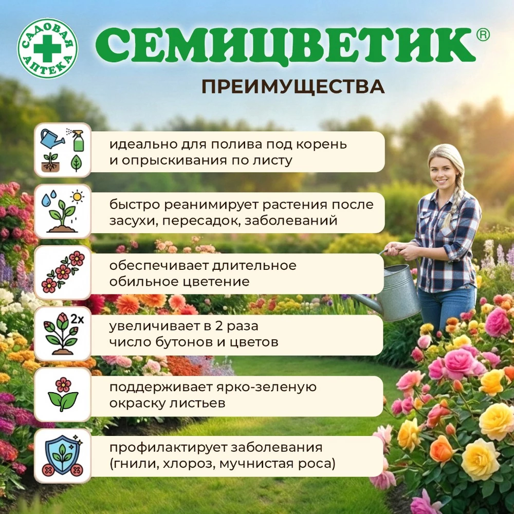 Семицветик-для-клумб_3