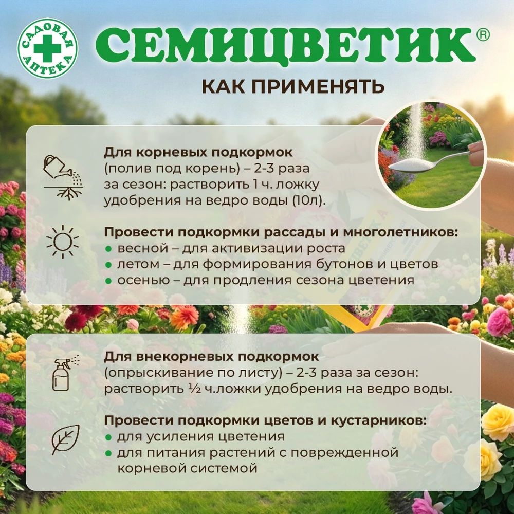 Семицветик-для-клумб_4