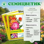 Семицветик-для-клумб_2