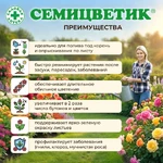 Семицветик-для-клумб_3