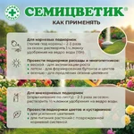 Семицветик-для-клумб_4