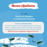 машенька4