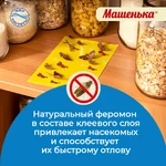 Машенька-от-моли3