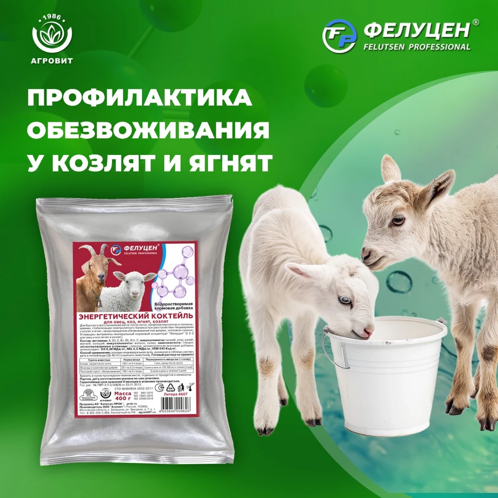 Фелуцен-коктейль_3