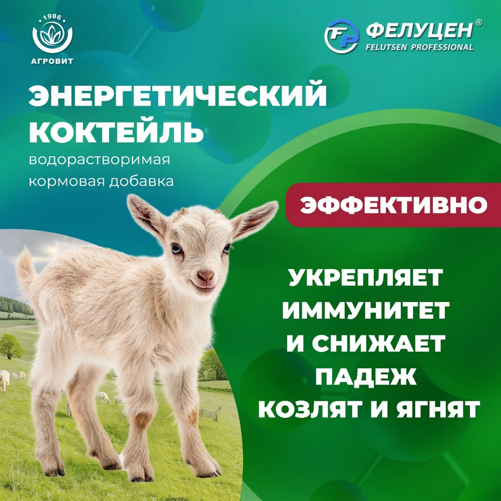 Фелуцен-коктейль_4