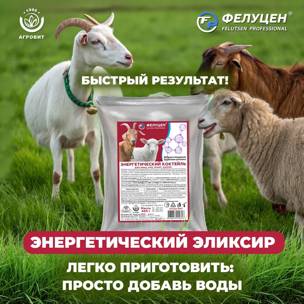 Фелуцен-коктейль_6