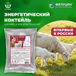 Фелуцен-коктейль_1