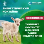 Фелуцен-коктейль_4