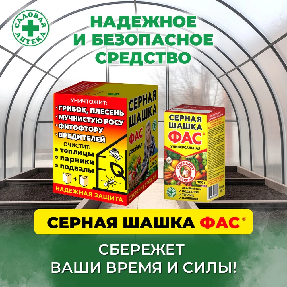 Шашка-Фас_2