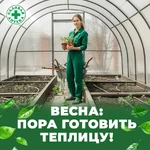 Шашка-Фас_1