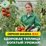 Шашка-Фас_8